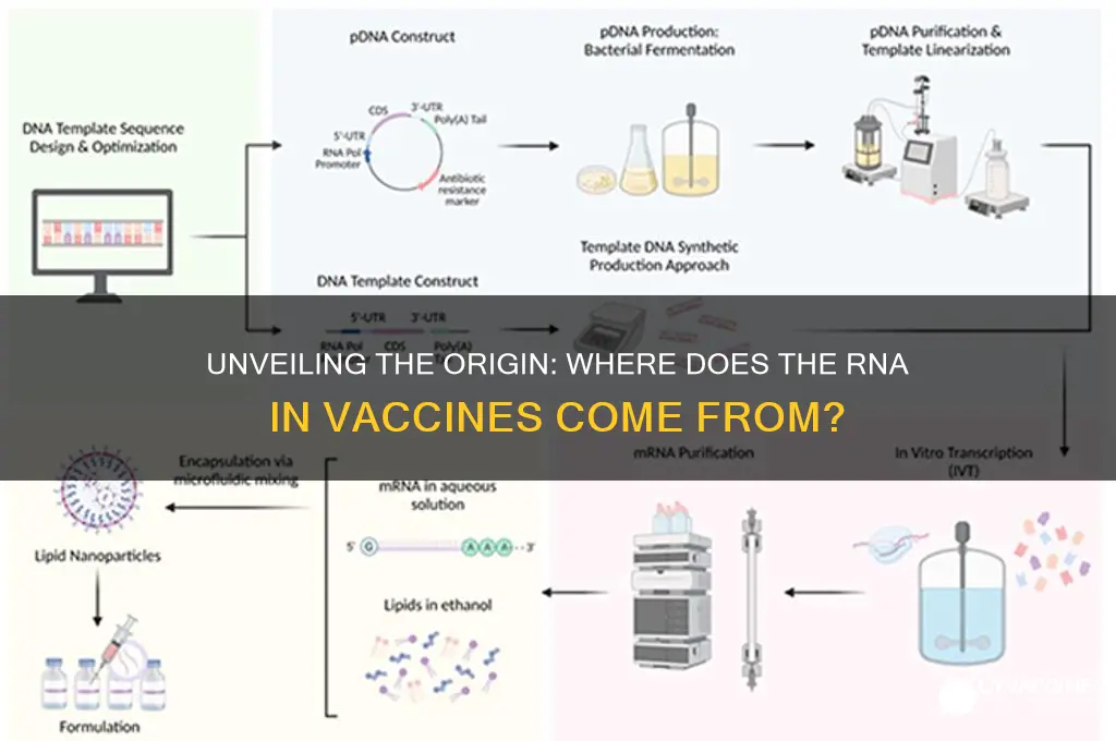 where does the rna in vaccines come from