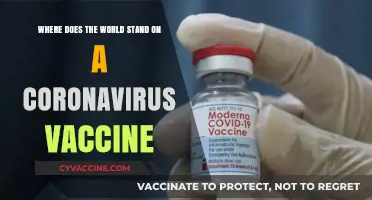Global Progress: Coronavirus Vaccine Development, Challenges, and Hopeful Horizons