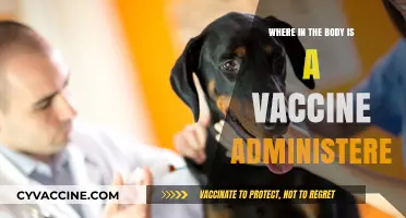 Understanding Vaccine Administration: Common Injection Sites in the Body