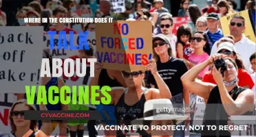 Constitutional Insights: Exploring Vaccine References in the U.S. Constitution