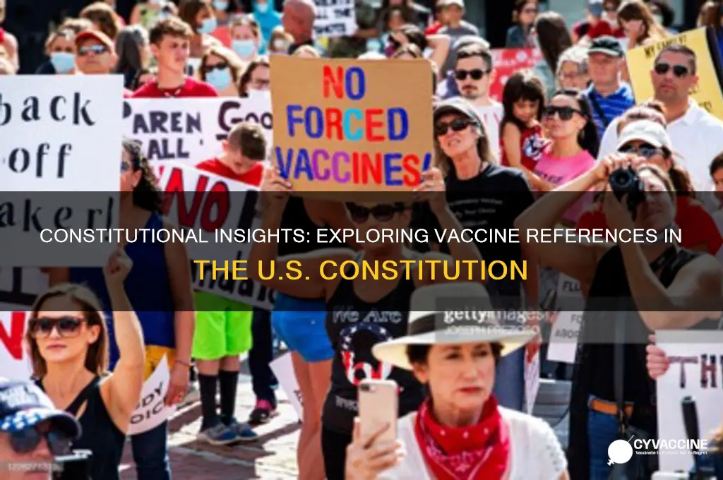 where in the constitution does it talk about vaccines