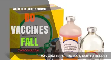 Vaccines' Role in the Health Pyramid: Essential or Optional?