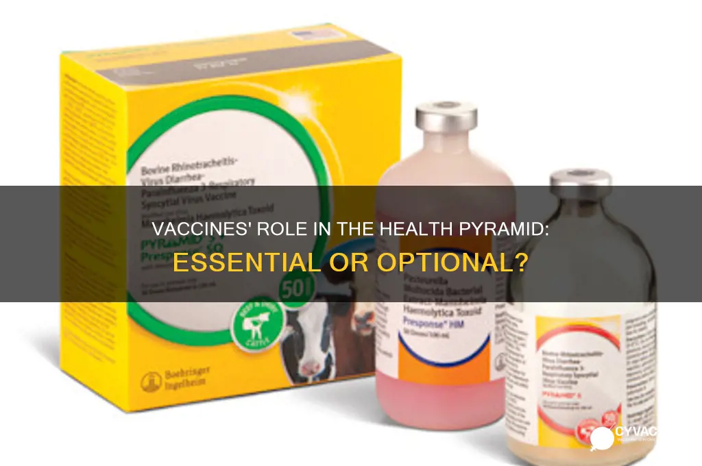 where in the health pyramid do vaccines fall