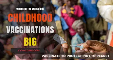 Global Hotspots: Where Childhood Vaccinations Thrive and Save Lives