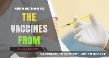 West London's Vaccine Origins: Uncovering Local Distribution Centers