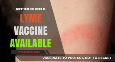 Global Availability of Lyme Disease Vaccines: Where to Find Them