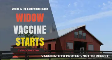 Unveiling the Mysterious Barn: Origins of the Black Widow Vaccine