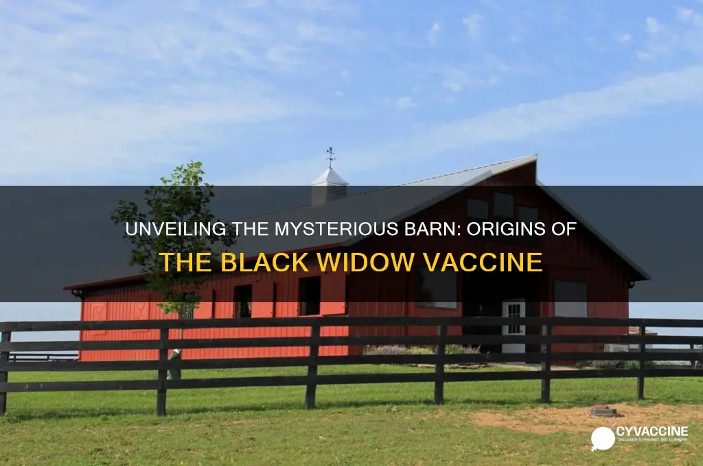 where is the barn where black widow vaccine starts