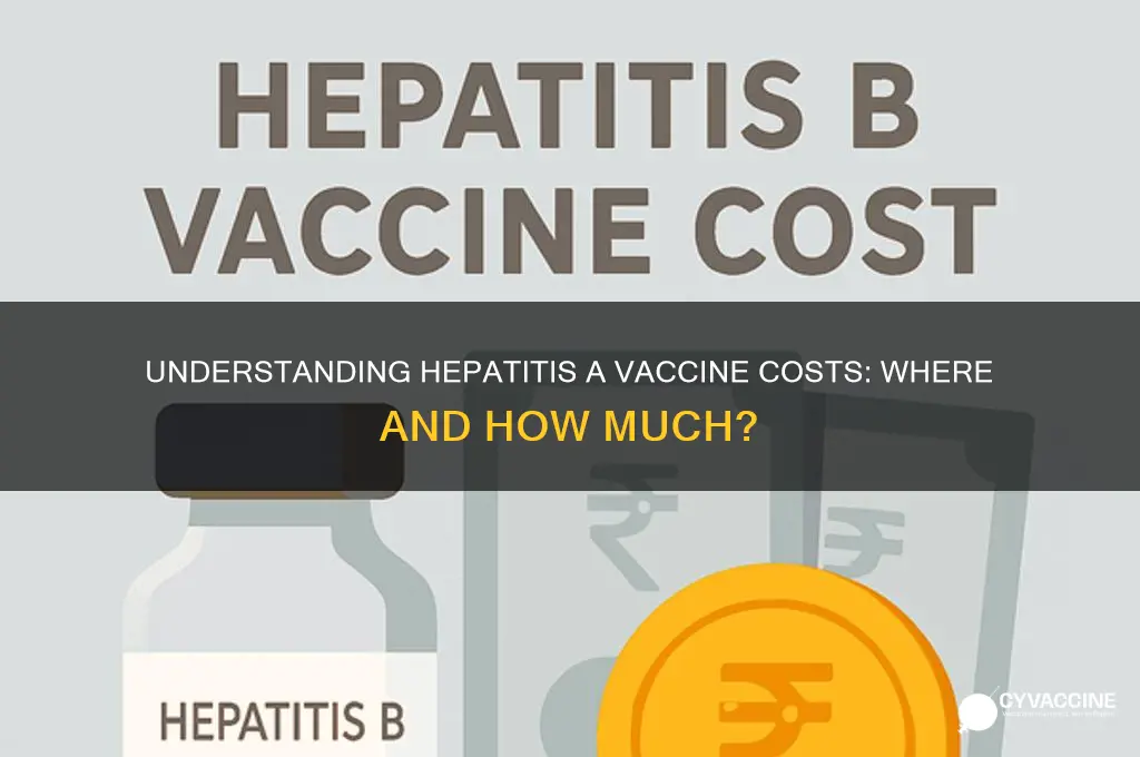 where is the cost of the hepatitis a vaccine