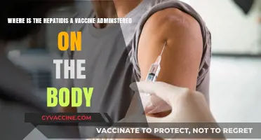 Hepatitis A Vaccine: Understanding the Correct Administration Site on the Body