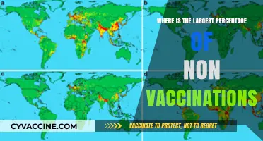 Global Hotspots: Regions with Highest Non-Vaccination Rates Revealed