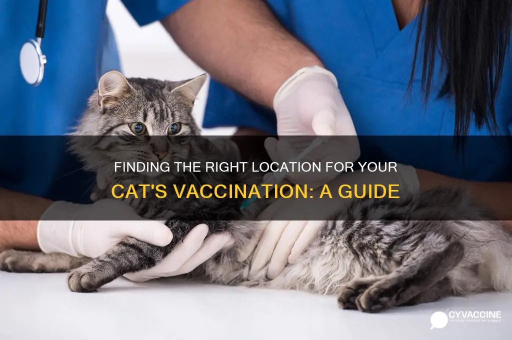 where is the location for vaccination for a cat