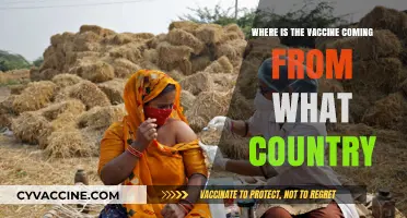 Global Vaccine Origins: Which Countries Are Leading the Production?