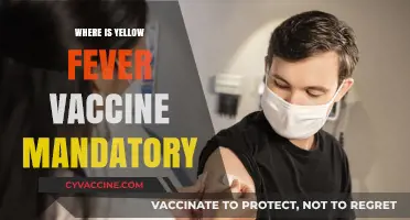 Yellow Fever Vaccine Requirements: Where It's Mandatory for Travelers