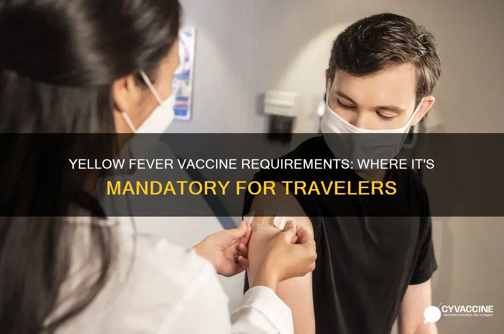 where is yellow fever vaccine mandatory