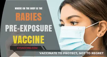 Rabies Pre-Exposure Vaccine: Optimal Body Location for Administration
