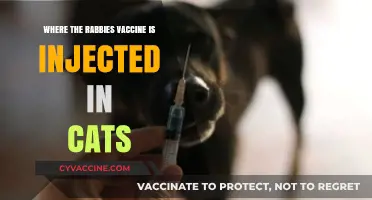Rabies Vaccine Injection Site in Cats: A Quick Guide
