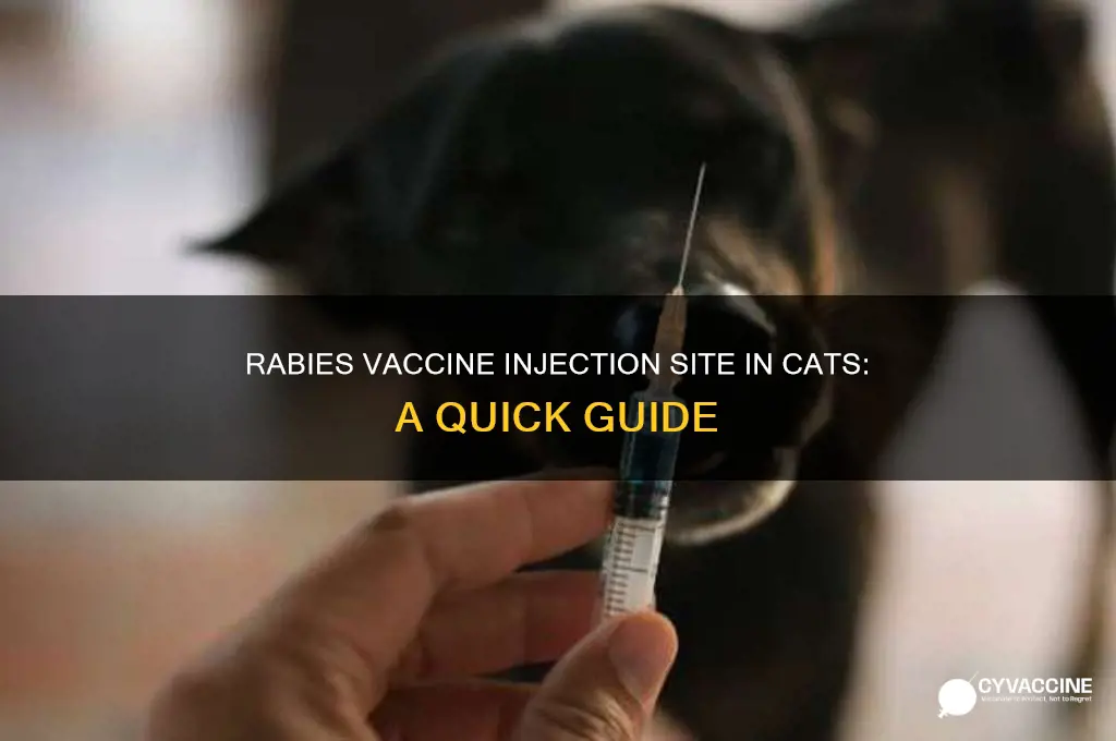where the rabbies vaccine is injected in cats