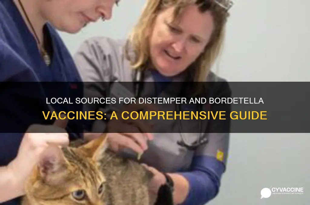 where to buy distemper and bordetella vaccines locally