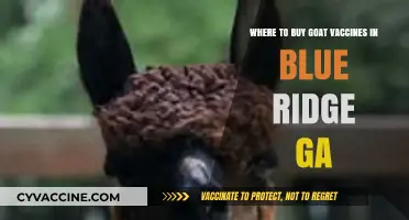 Goat Vaccines in Blue Ridge, GA: Top Local Suppliers Guide