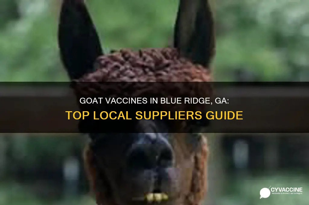 where to buy goat vaccines in blue ridge ga