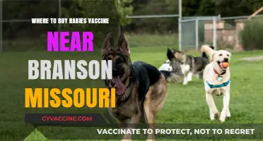 Find Rabies Vaccines Near Branson, Missouri: Your Local Guide