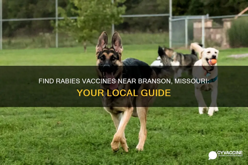 where to buy rabies vaccine near branson missouri