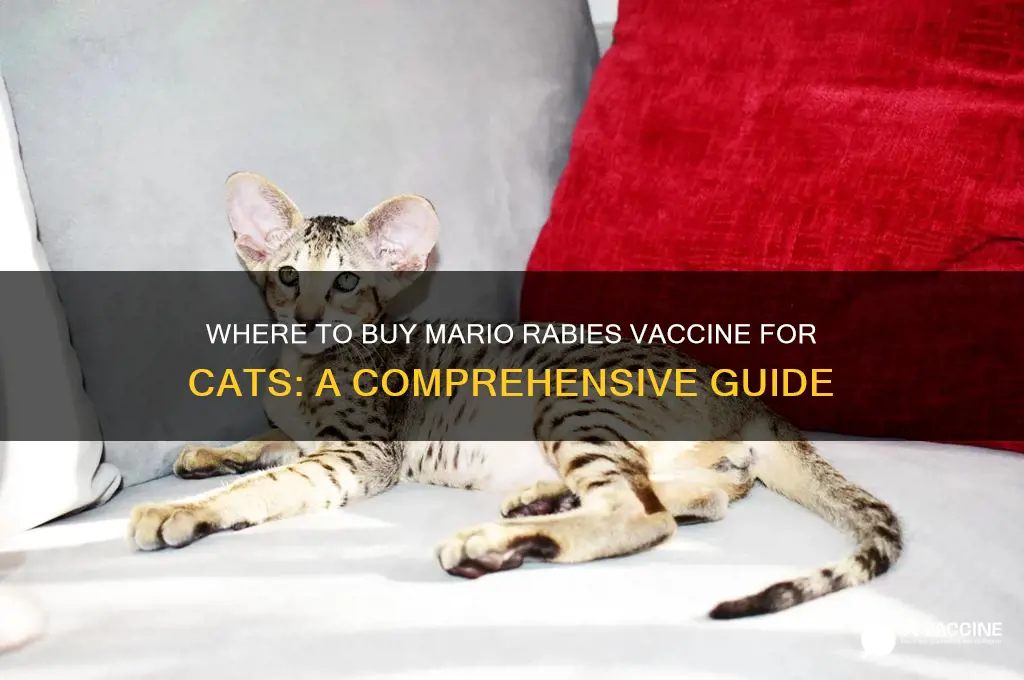 where to buy the mario rabies vaccine for cats