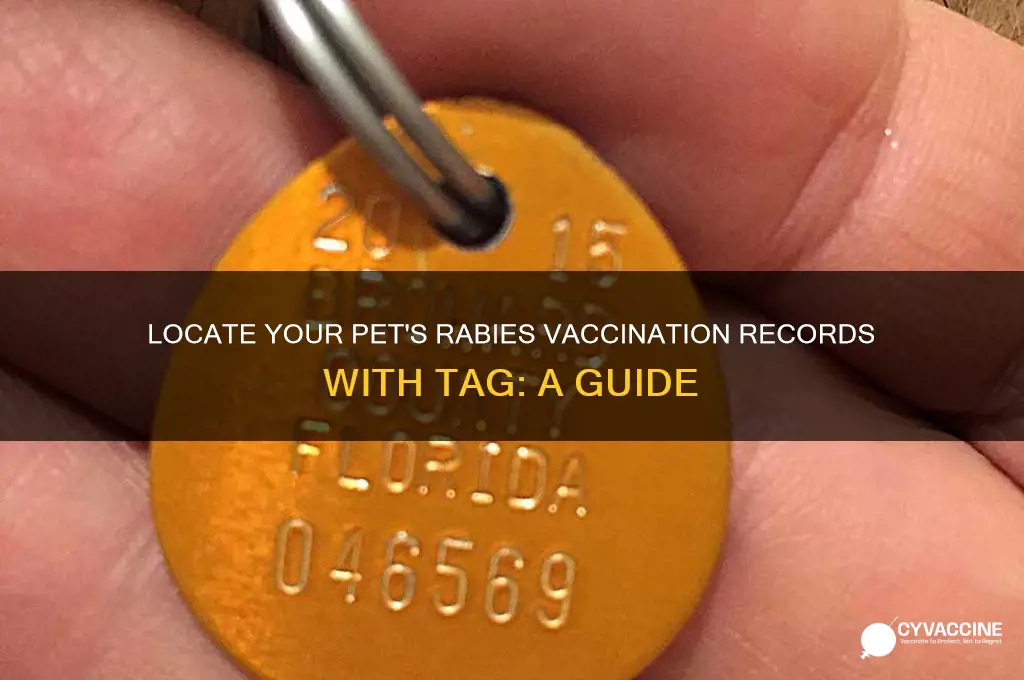 where to check rabies vaccination records with tag