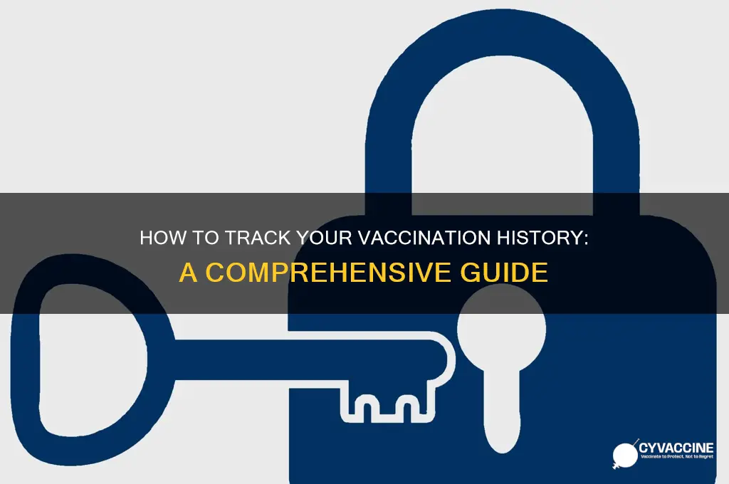 where to find out what vaccines youve had