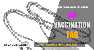 Locate Your Pet's Rabies Tag Number: A Quick Vaccination Tag Guide