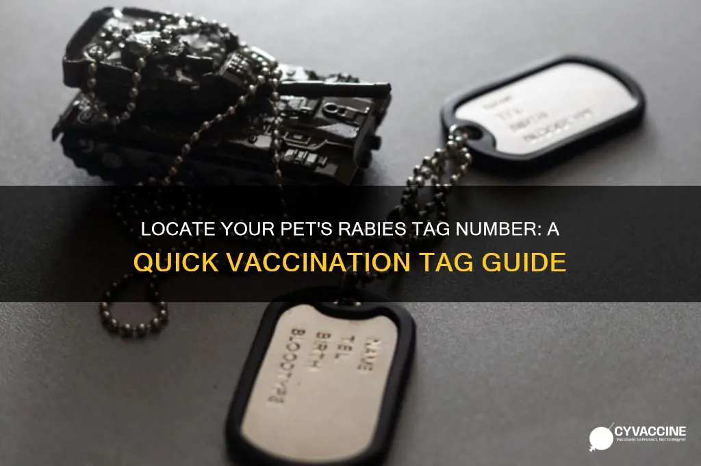 where to find rabies tag number on vaccination tag