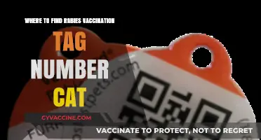 Locating Your Cat's Rabies Vaccination Tag Number: A Quick Guide