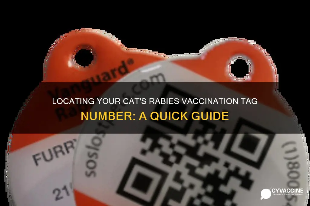 where to find rabies vaccination tag number cat