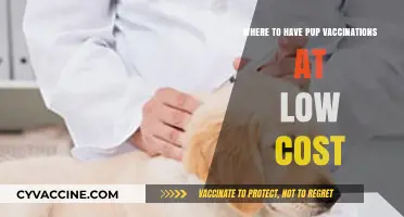 Affordable Puppy Vaccination Options: Where to Save on Pet Care