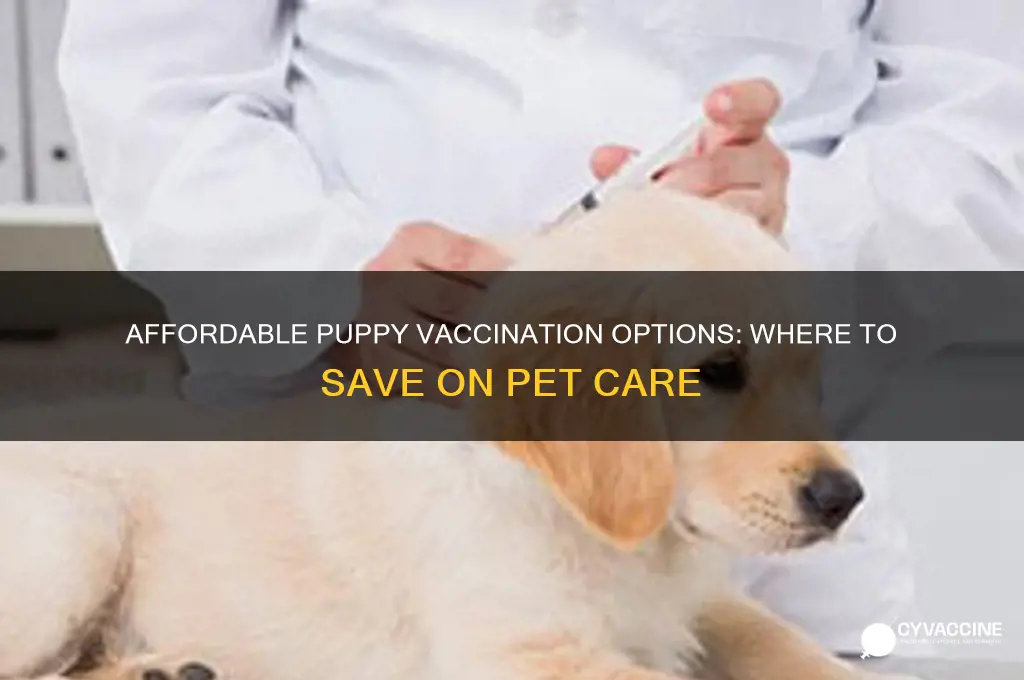where to have pup vaccinations at low cost