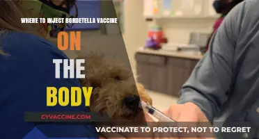 Optimal Bordetella Vaccine Injection Sites: A Comprehensive Guide for Pet Owners