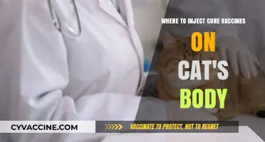 Optimal Cat Vaccination Sites: Where to Inject Core Vaccines Safely
