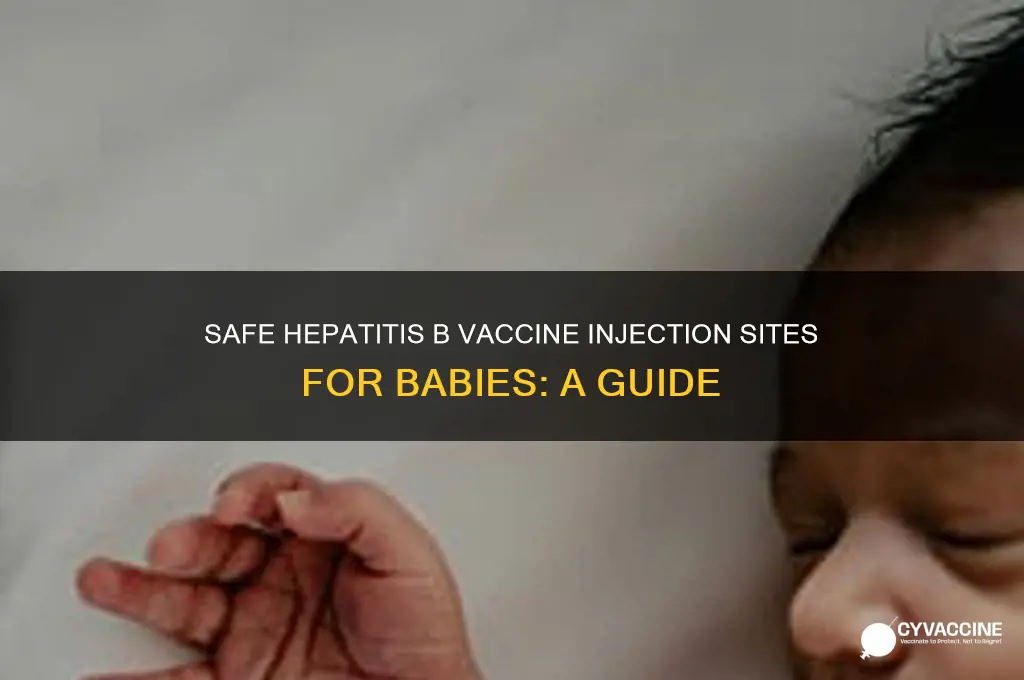 where to inject hepatitis b vaccine in bab