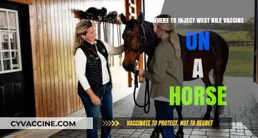 Proper West Nile Vaccine Injection Sites for Horses: A Guide