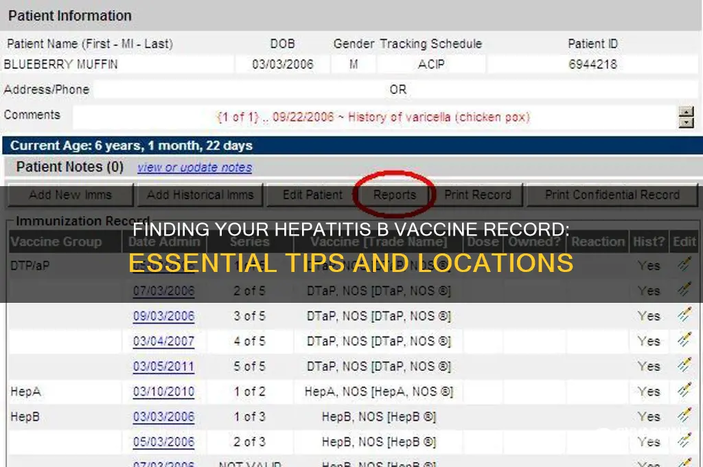 where to look for hep b vaccine recored