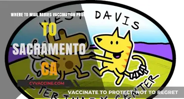 Mailing Rabies Vaccination Proof to Sacramento, CA: Complete Guide