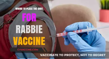 Optimal Injection Site for Rabies Vaccine: A Comprehensive Guide