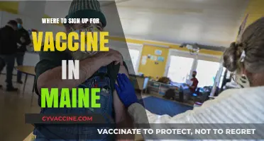 Maine COVID-19 Vaccine Sign-Up Guide: Locations and Registration Tips
