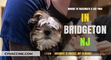 Free Cat Vaccinations in Bridgeton, NJ: Locations and Resources