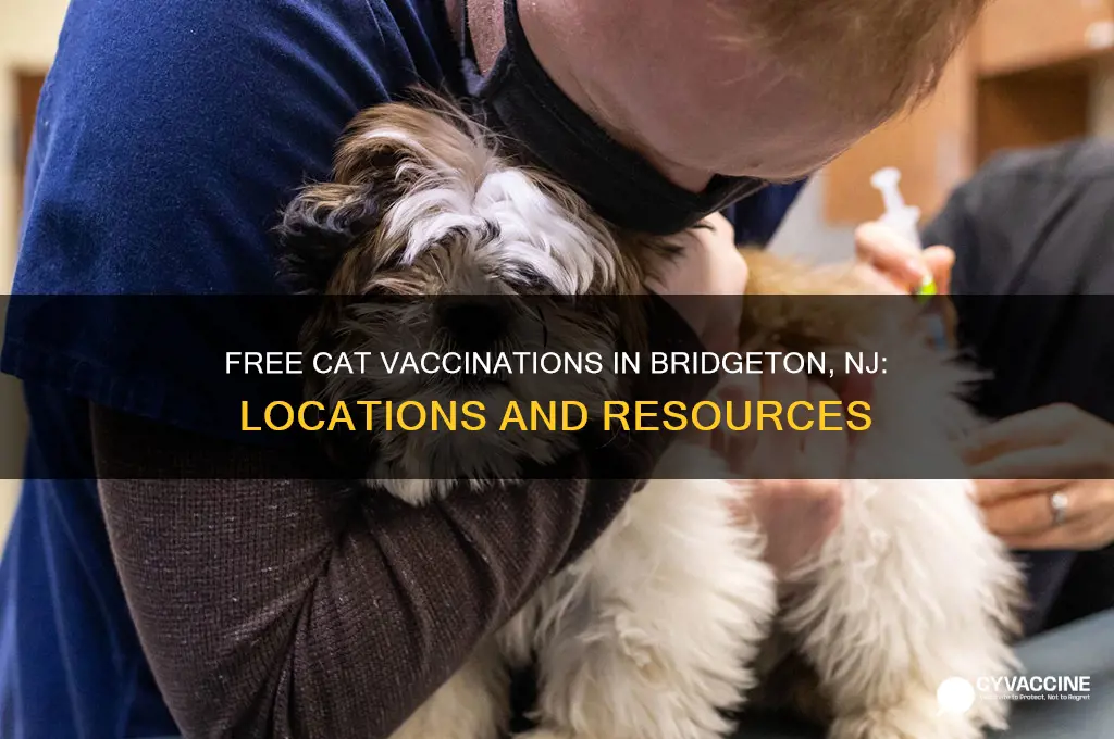 where to vaccinate a cat free in bridgeton nj