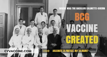 The Birthplace of BCG: Uncovering the Origins of the Vaccine