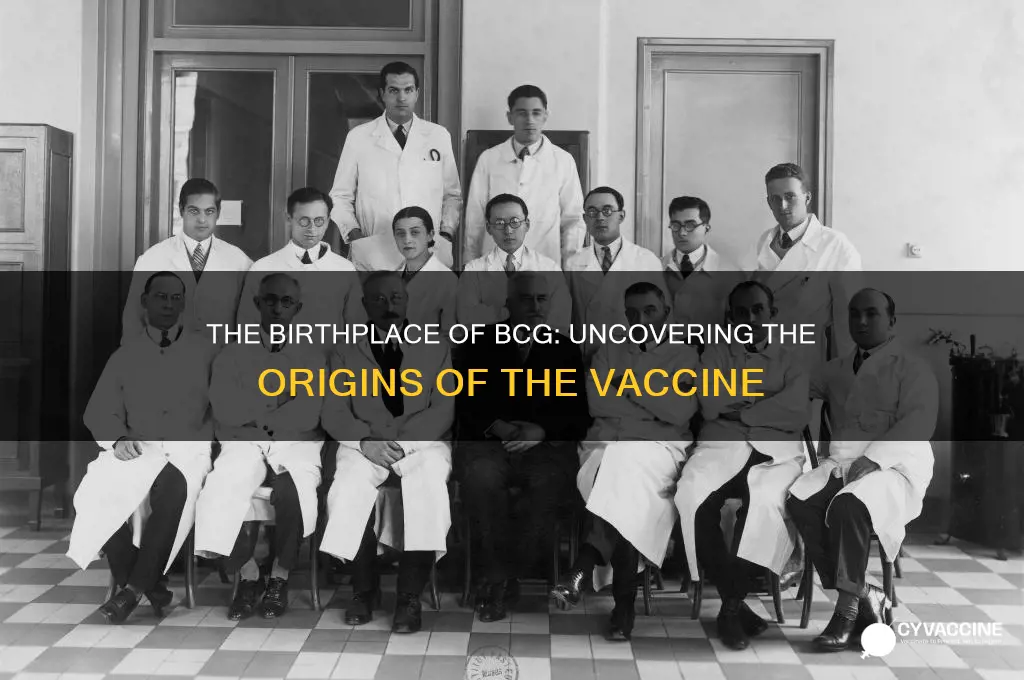 where was the bacillus calmette-guerin bcg vaccine created