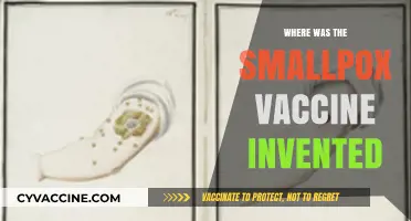 The Birthplace of the Smallpox Vaccine: Uncovering Its Historic Origins