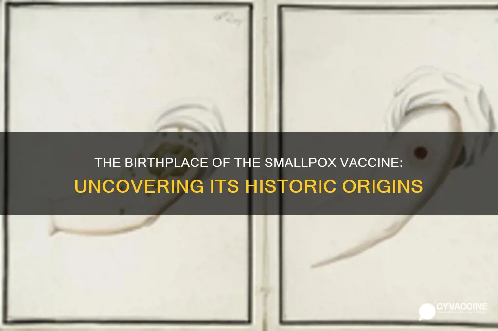 where was the smallpox vaccine invented